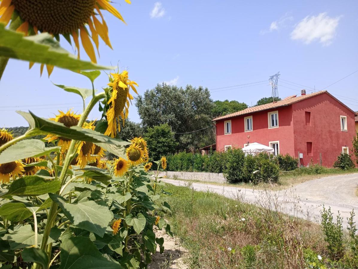 Bed and Breakfast La Casa Rossa à Coiano Extérieur photo